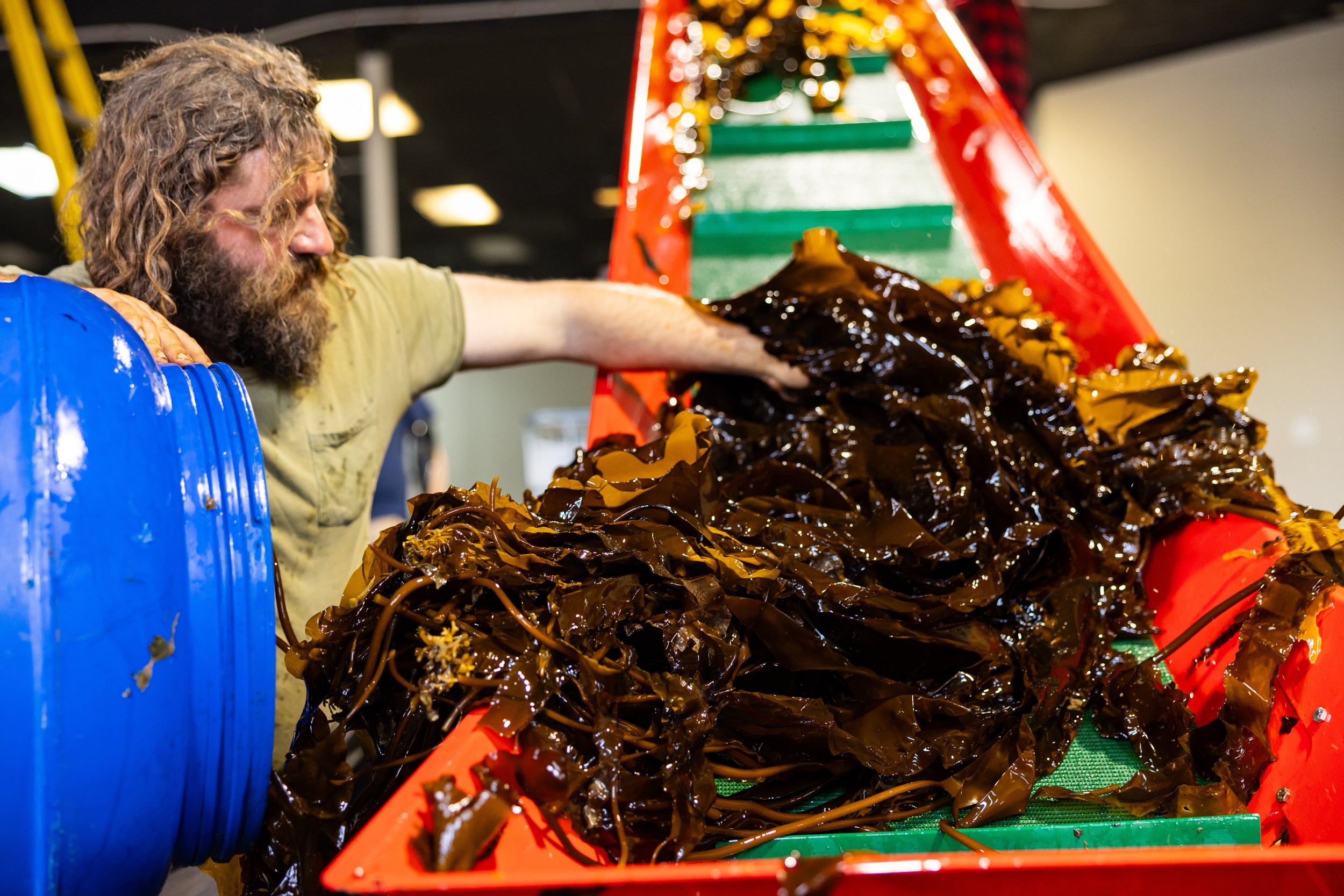 Inside GreenWave's Kelp Processing Plant — GreenWave
